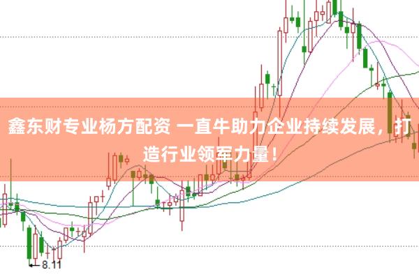 鑫东财专业杨方配资 一直牛助力企业持续发展，打造行业领军力量！