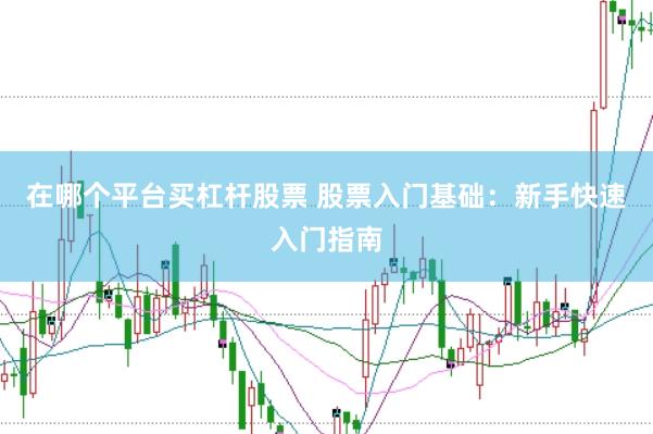 在哪个平台买杠杆股票 股票入门基础：新手快速入门指南