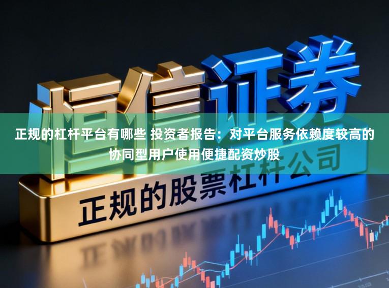 正规的杠杆平台有哪些 投资者报告：对平台服务依赖度较高的协同型用户使用便捷配资炒股