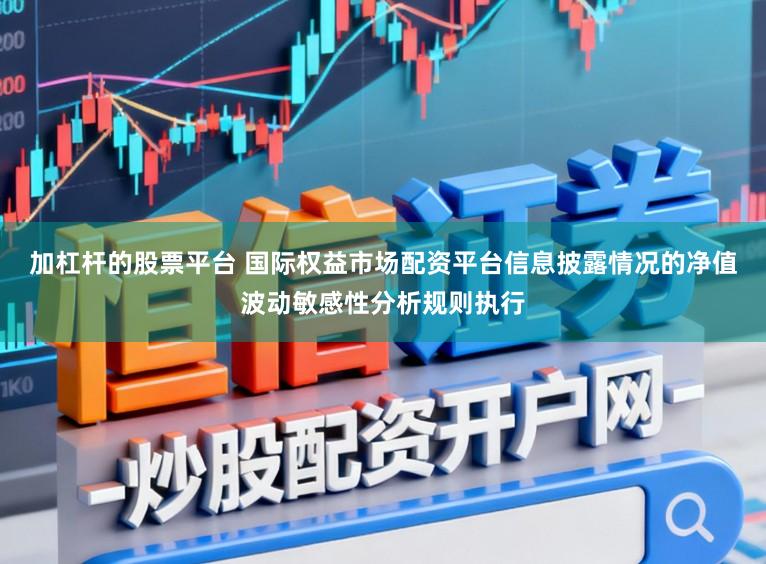 加杠杆的股票平台 国际权益市场配资平台信息披露情况的净值波动敏感性分析规则执行