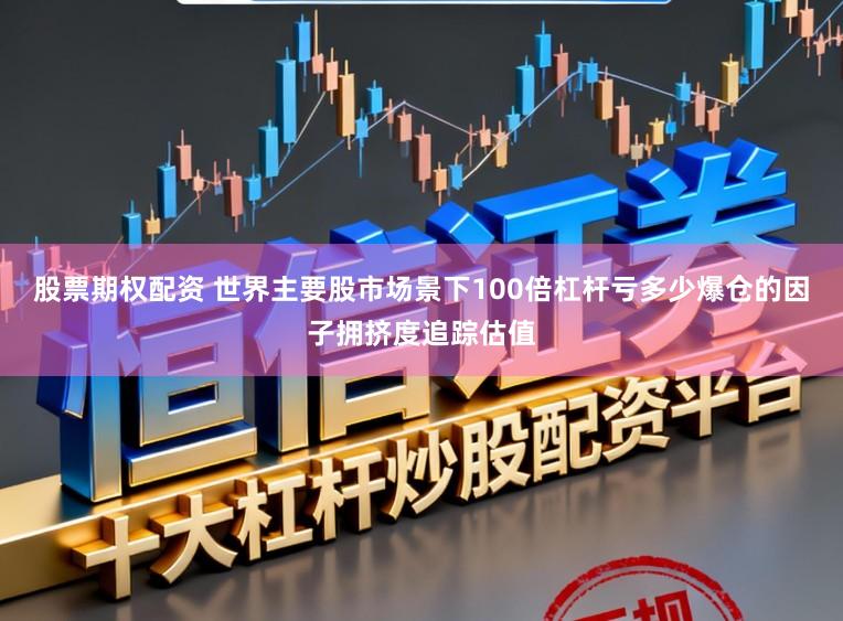 股票期权配资 世界主要股市场景下100倍杠杆亏多少爆仓的因子拥挤度追踪估值