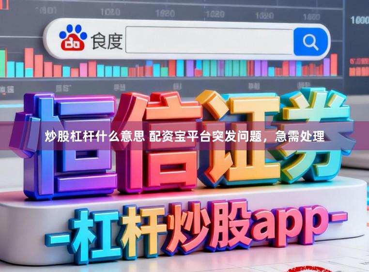 炒股杠杆什么意思 配资宝平台突发问题，急需处理